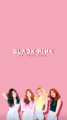 blackpink - black-pink photo