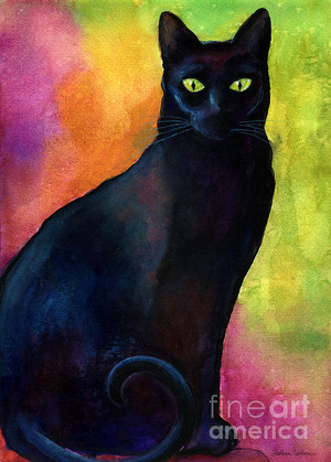  Black Cat