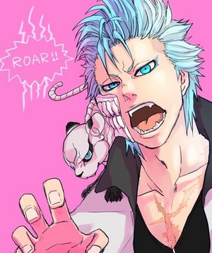 *Grimmjow Jeagerjaques *