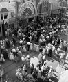 1955 Grand Opening Of Disneyland - disney photo