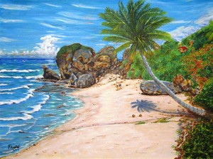  Barbados playa
