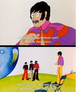  Nothing's Beatle Proof!