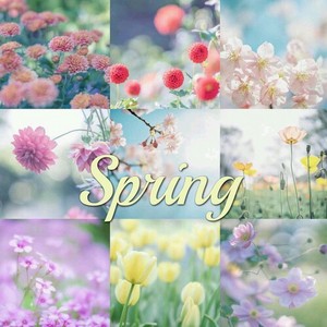 beautiful spring for ma cute Casp`🌺🌹💐💖