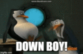 Down Boy! - penguins-of-madagascar photo