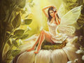 Fairy - fantasy photo