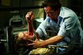 Saw 3D: The Final Chapter - horror-movies photo