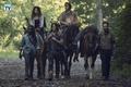 9x09 ~ Adaptation ~ Michonne, Magna, Daryl, Eugene, Aaron and Jesus - the-walking-dead photo