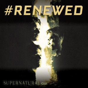  Season 15 Renewal Poster