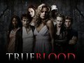 True Blood - television photo