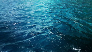  Deep Blue Ocean