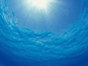  Underwater Sea Surface