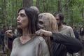 9x12 ~ Guardians ~ Alpha and Helen - the-walking-dead photo