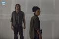 9x13 ~ Chokepoint ~ Daryl and Connie - the-walking-dead photo