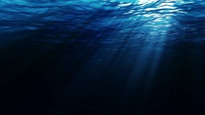  Beneath The Deep Blue Ocean