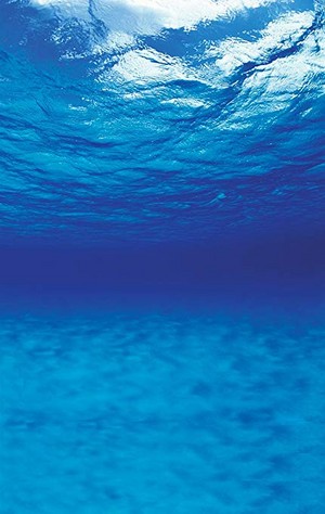 Beneath The Ocean Surface