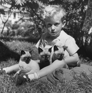 Boy And His Kittens