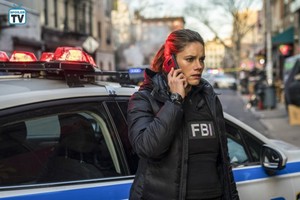 FBI ~ 1x13 "Partners in Crime"