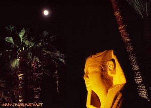  GOOD NIGHT EGYPT