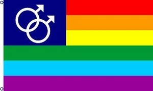  Gay flag