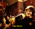 Harry Potter and The Goblet of Fire - harry-potter photo