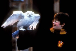  Harry Potter and The Philosopher's Stone