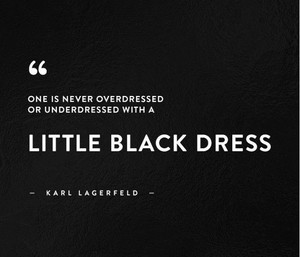  Karl Lagerfeld Inspiration 🖤