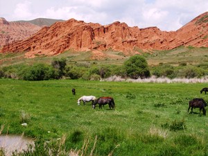  Kyzyl Suu, Kyrgyzstan