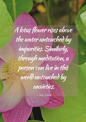 Lesson from Lotus Flower