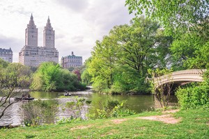  New York Central Park
