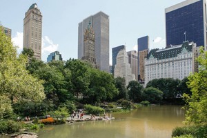  New York Central Park