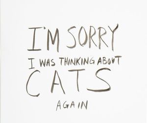 Sorry! 😻