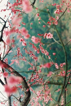  Spring feelings🌸🌷🌹