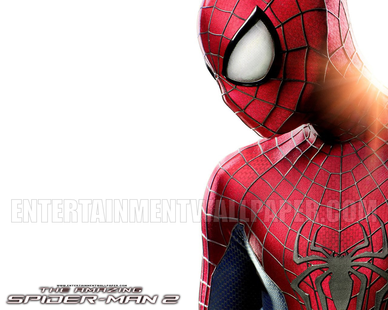 The Amazing Spider-Man 2 - Spider-Man Wallpaper (42639410) - Fanpop - Page  12