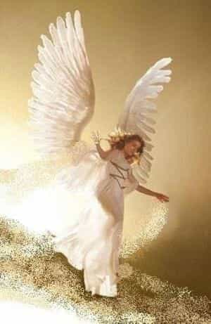  beautiful anges for ma simram babe🌹💖