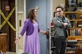 10x01 "The Conjugal Conjecture" - the-big-bang-theory photo