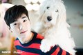 nuest - Aron photoshoot with dogs wallpaper