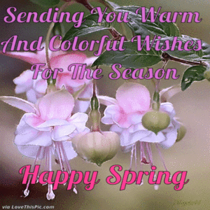  Beautiful Spring Wishes 💐