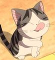 Cute anime cat/ᐠ｡ꞈ｡ᐟ✿ - random photo
