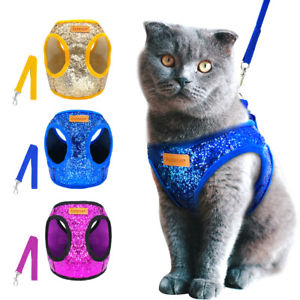 Differnt Types Of Cat Harnesses