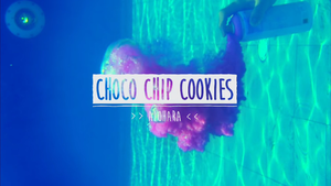  Hara Choco Chip biscotti, cookie MV