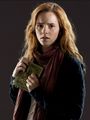 Harry Potter and The Deathly Hallows part 1 - harry-potter photo