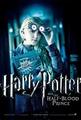 Harry Potter and The Half Blood Prince - harry-potter photo