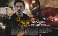 I am Iron Man - iron-man photo