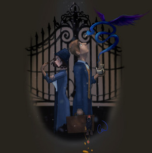  Newt/Tina Drawing - Fantastic Beasts And Where To Find Them