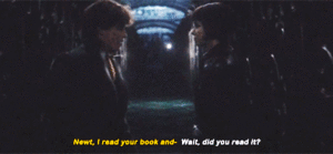  Newt/Tina Gif - Fantastic Beasts And The Crimes Of Grindelwald