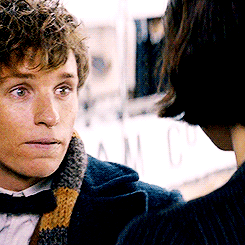  Newt/Tina Gif - Fantastic Beasts And Where To Find Them