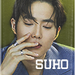 SUHO  - exo icon