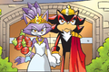 Shadow marries Blaze - sonic-the-hedgehog photo