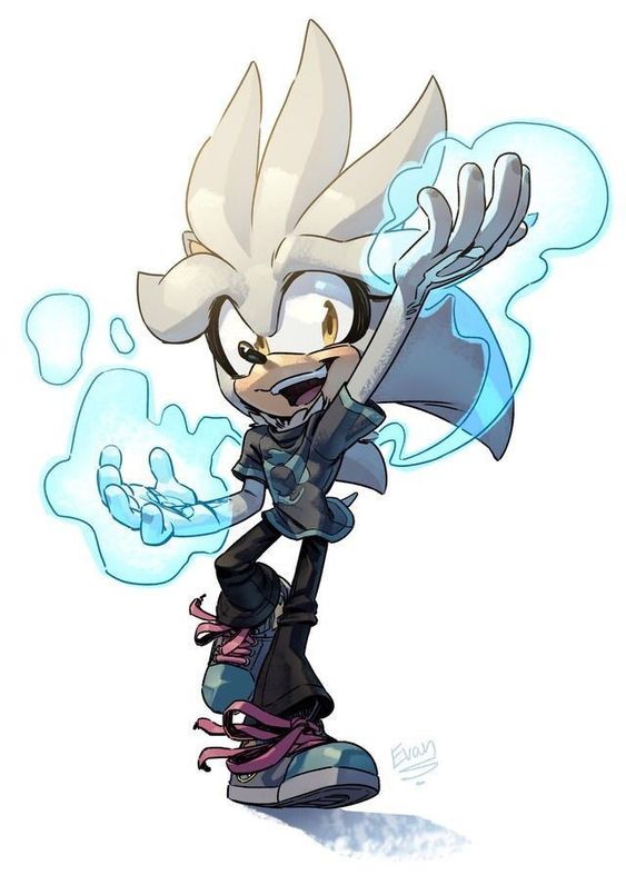Hedgehog silver the Silver the