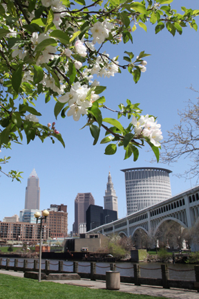  Springtime In Cleveland